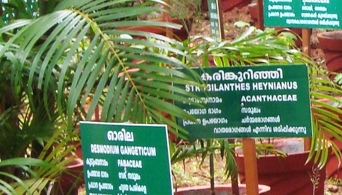 The Uppod Kannan Herbal park established by Itoozhi Ayurveda The Uppod Kannan Herbal park established by Itoozhi Ayurveda