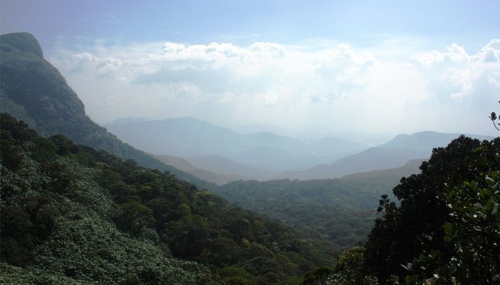 The Bio - diversity of Western Ghats for Ayurveda