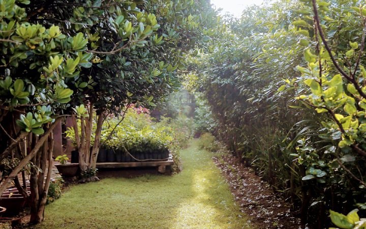 Weekend-Wellness-package-Itoozhi-Ayurveda-bangalore